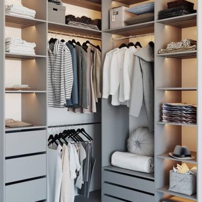 Шкафы и гардеробные на заказ в Москве